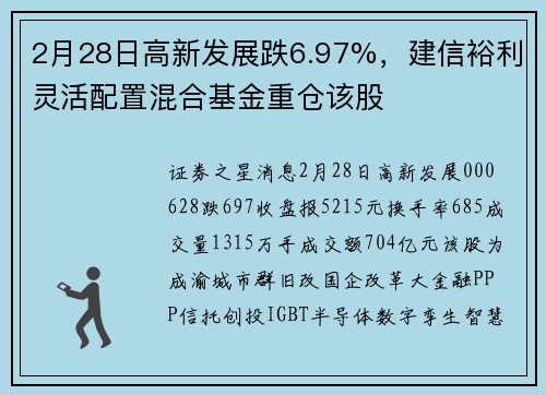 2月28日高新发展跌6.97%，建信裕利灵活配置混合基金重仓该股