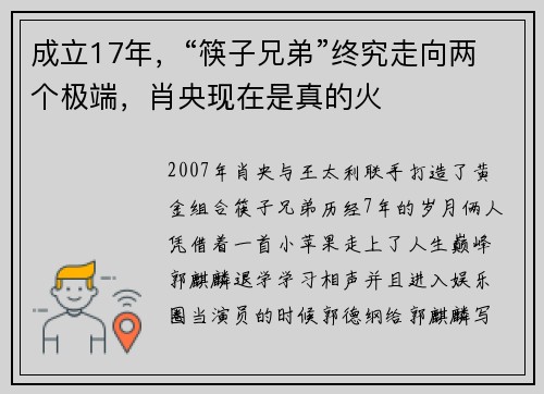成立17年，“筷子兄弟”终究走向两个极端，肖央现在是真的火
