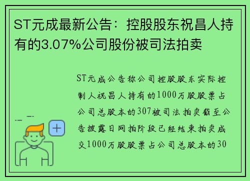 ST元成最新公告：控股股东祝昌人持有的3.07%公司股份被司法拍卖