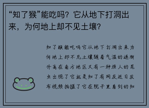 “知了猴”能吃吗？它从地下打洞出来，为何地上却不见土壤？